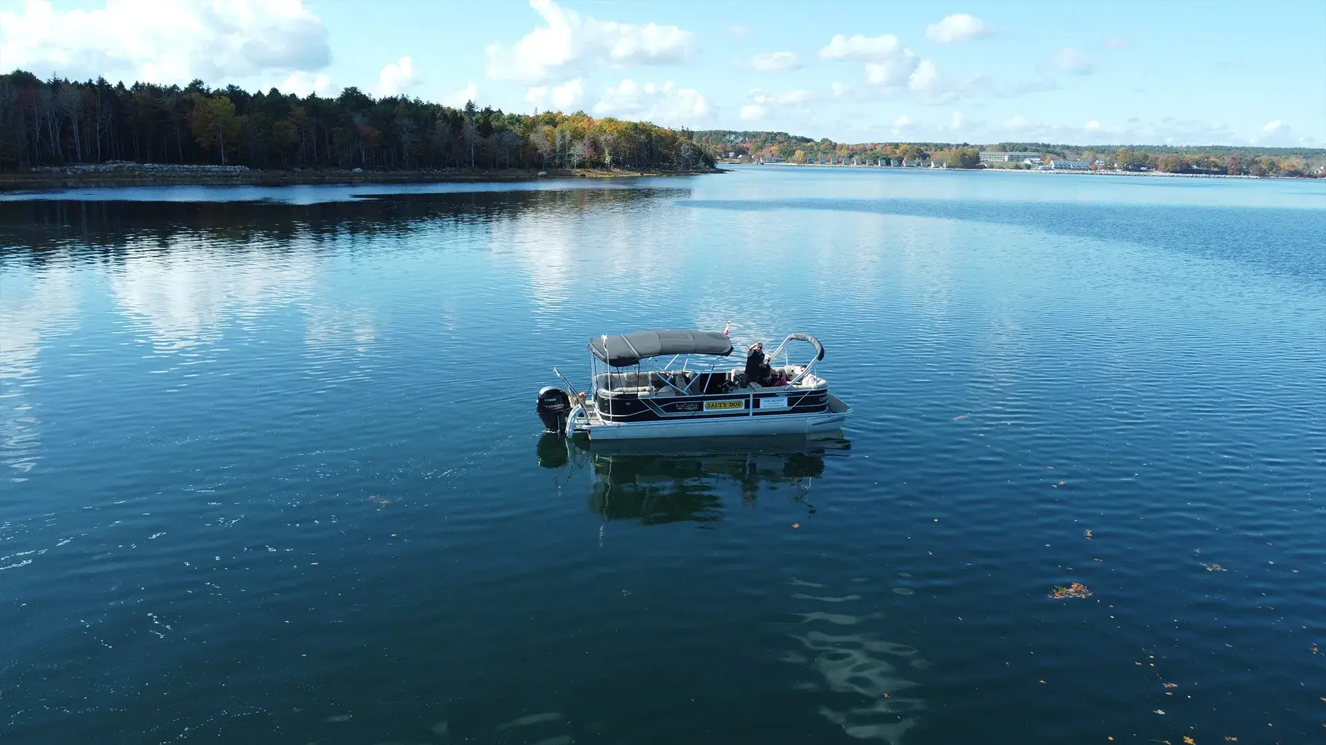 Salty Dog Sea Tours boat cruising through Mahone Bay